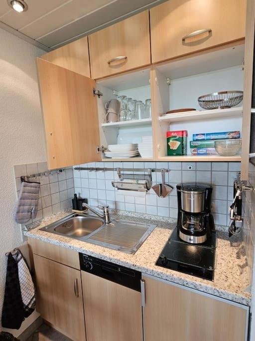 A&E Apartment Am Sorpesee Langscheid  Εξωτερικό φωτογραφία